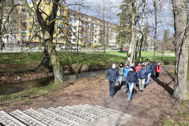 Pierwszy w Gorzowie spacer dendrologiczny zorganizował Marek Pogorzelec.