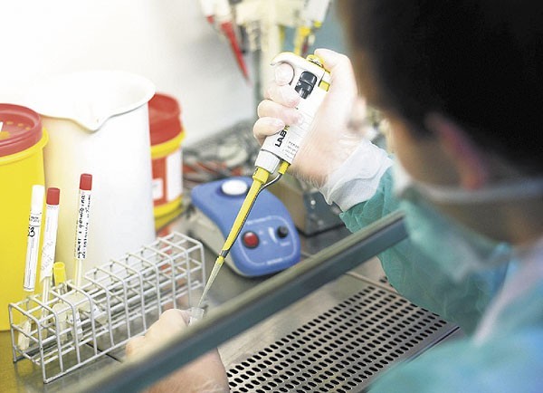 W laboratorium przy ul. Wodnej w Łodzi badane są próbki na obecność wirusa A/H1N1.