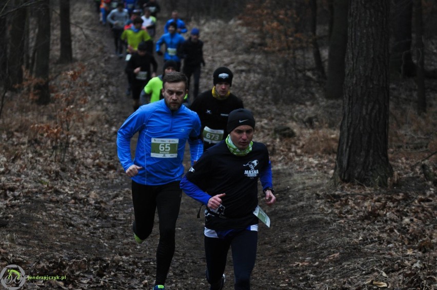 City Trail w Katowicach - zdjęcia z finałowego biegu [28 luty 2016]