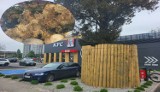 Pod opolskim KFC umiera drzewo. Sprawa poruszyła setki mieszkańców. "Nie zgadzamy się na niszczenie przyrody"