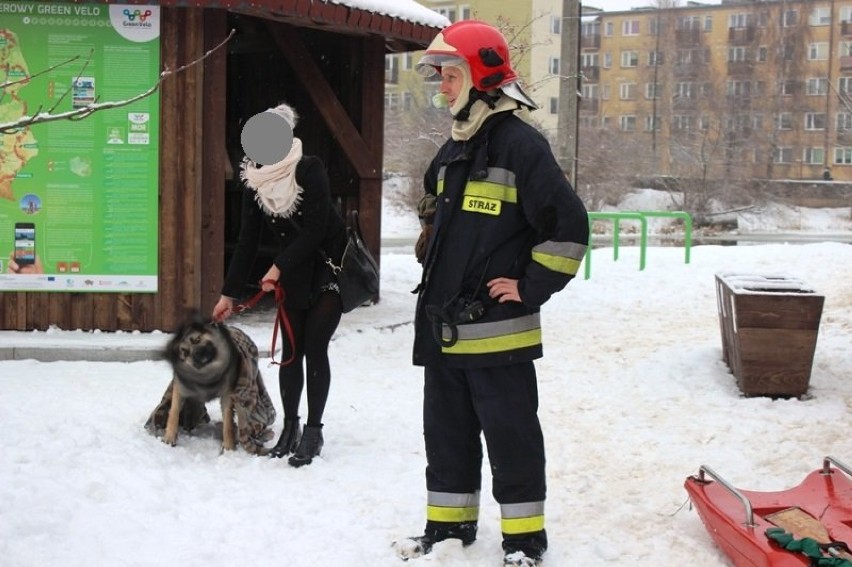 Strażacy z Braniewa uratowali psa