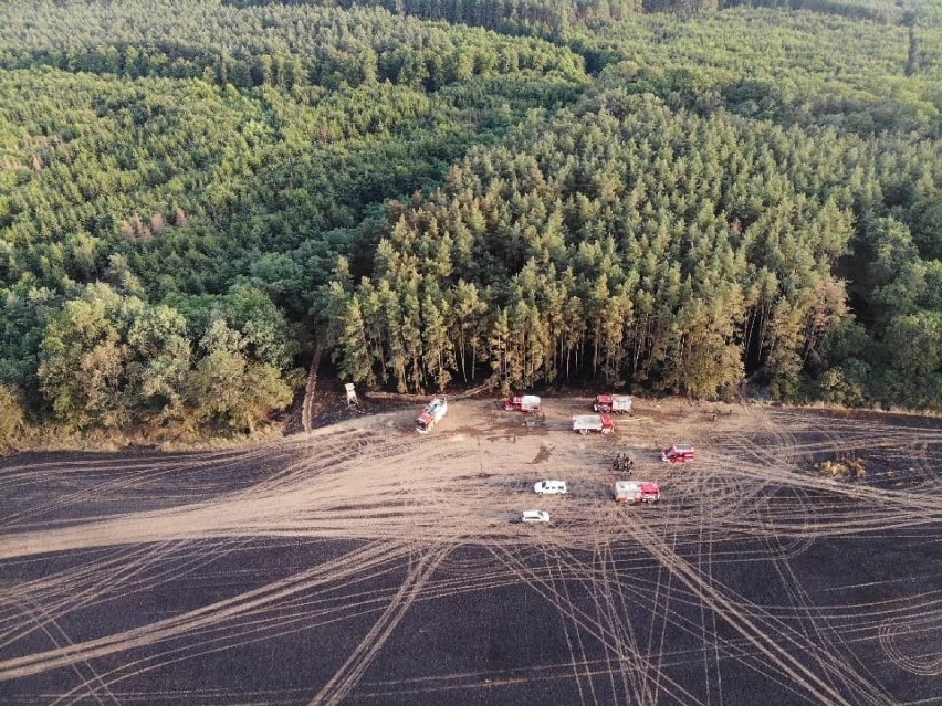 Wielki pożar koło Droglowic - nowe zdjęcia z drona