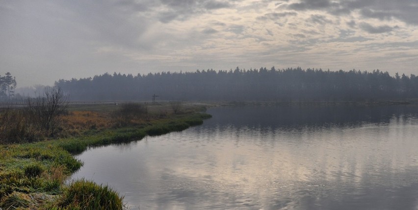 Okolice zbiornika w Zakrzówku Szlacheckim (gmina Ładzice)
