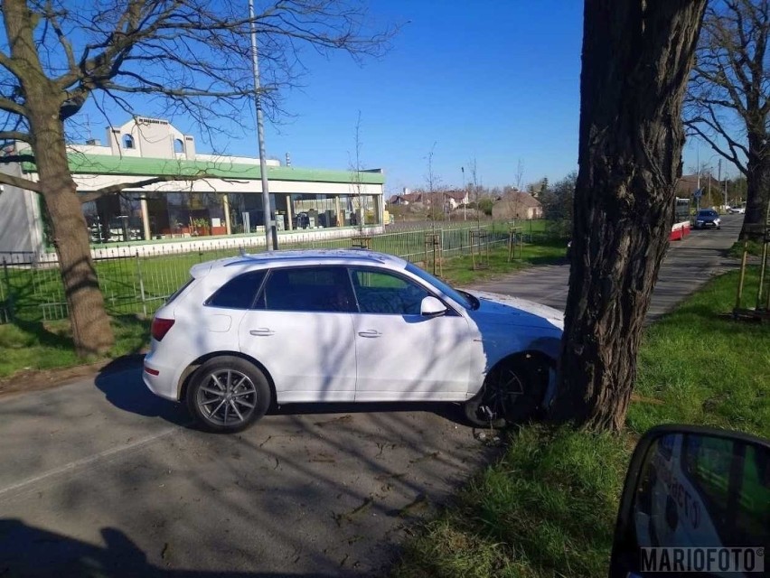 Wypadek w Opolu na Morcinka. Kierująca audi zjechała na pobocze i uderzyła w drzewo 