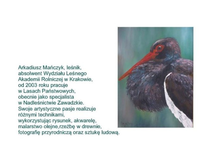 Gołuchów. ,,Ptaki naszych lasów" na wystawie w Ośrodku Kultury Leśnej