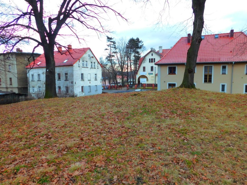 Byliście w parku na Sobięcinie w Wałbrzychu? Rosną tam jadalne kasztany! [ZDJĘCIA]