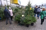 Handlowa niedziela i świąteczne szaleństwo w marketach budowalnych w Kielcach. Zobacz zdjęcia