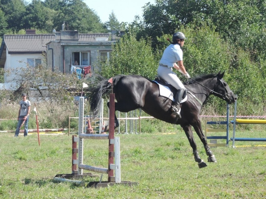 Wielka Gala Jeździecka Okonek 2013