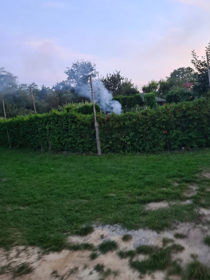 Dym na os. Piaski dochodzi z działek.