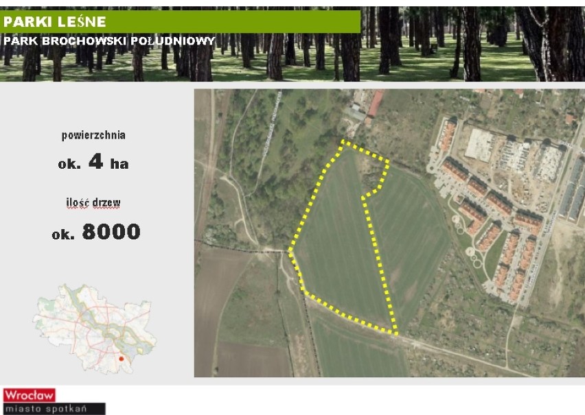 Do 2018 roku we Wrocławiu zostanie zasadzonych 300 tys. drzew [plany, wizualizacje]