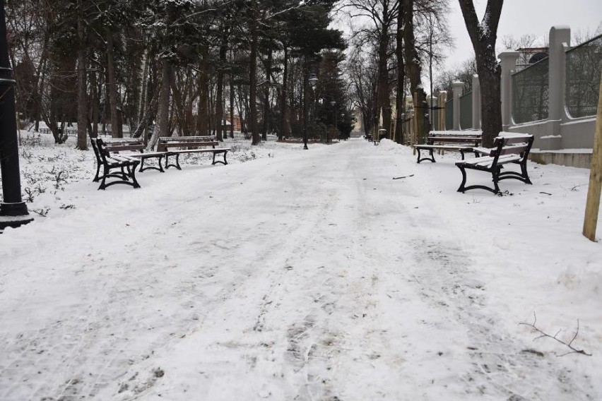 A może romantyczny spacer w zimowej scenerii parku? Zabierz...