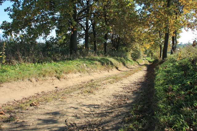 Polna droga powiatowa Pronie-Tabory, w gminie Stary Dzierzgoń będzie w tym roku modernizowana. Na prace przy niej mieszkańcy czekali przez kilka dekad