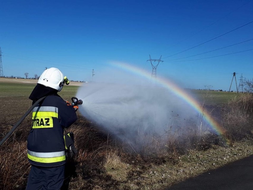 Strażacy odbierają pierwsze zgłoszenia o pożarze traw. Tym...