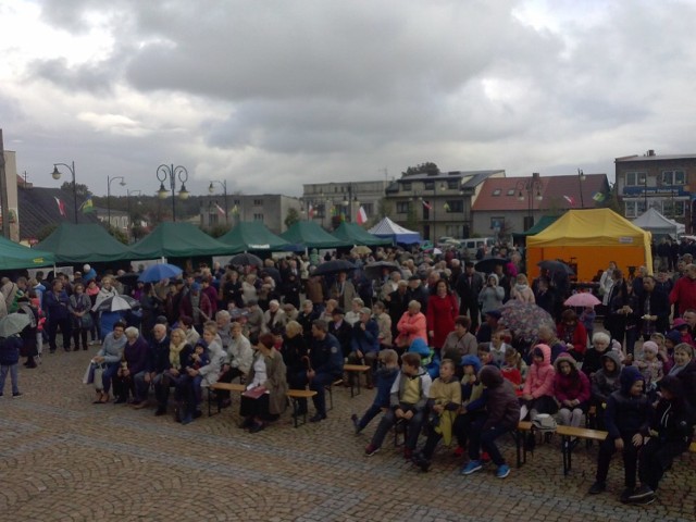 Jarmark Ochweśnicki w Ślesinie 2016