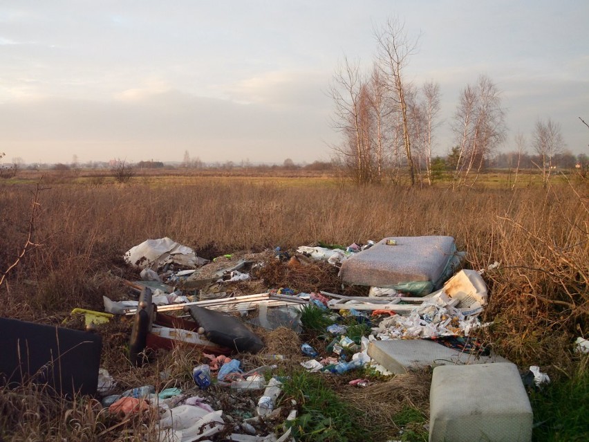 Dzikie wysypiska śmieci w Żarnowcu