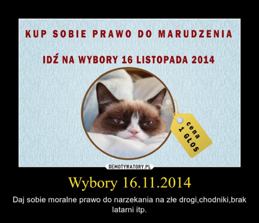 Wybory 2014: Komentarze i śmieszne obrazki na demotywatorach