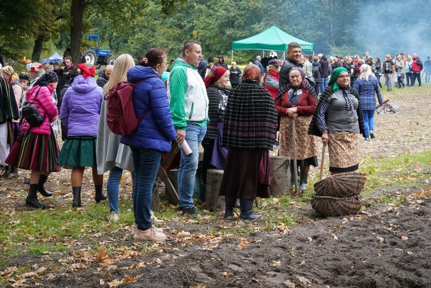 Święto Ziemniaka w Muzeum Wsi Radomskiej. Było mnóstwo atrakcji. Przeżyjmy to jeszcze raz. Zobaczcie nowe zdjęcia