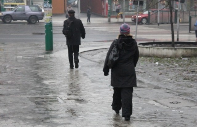 Wieczorem przewidziano spadek temperatury powietrza i gruntu ...