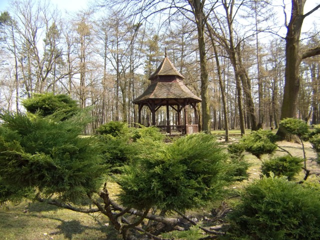 W niedzielę, 2 maja, odbędzie się sprzątania parku w Lipnie. Zbiórka o godz. 10