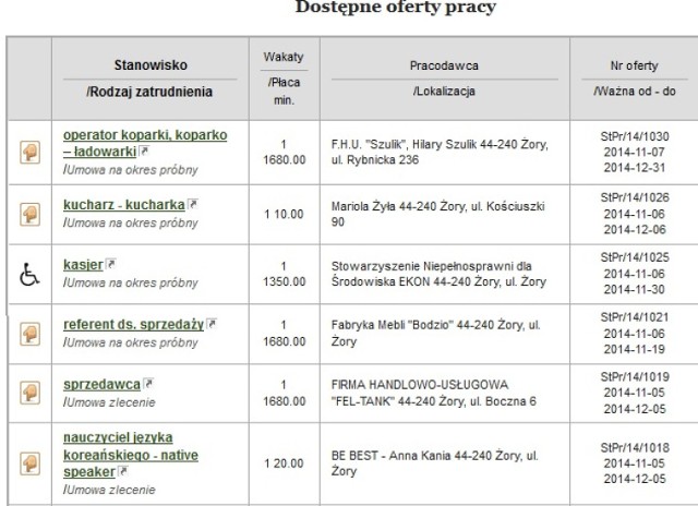 Oferty pracy Żory: Sprawdź, jakie są. Ile możesz zarobić?