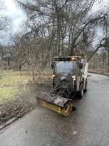 Kraków. Wielkie sprzątanie kupionego przez miasto parku Jalu Kurka. Kiedy zostanie otwarty dla mieszkańców?