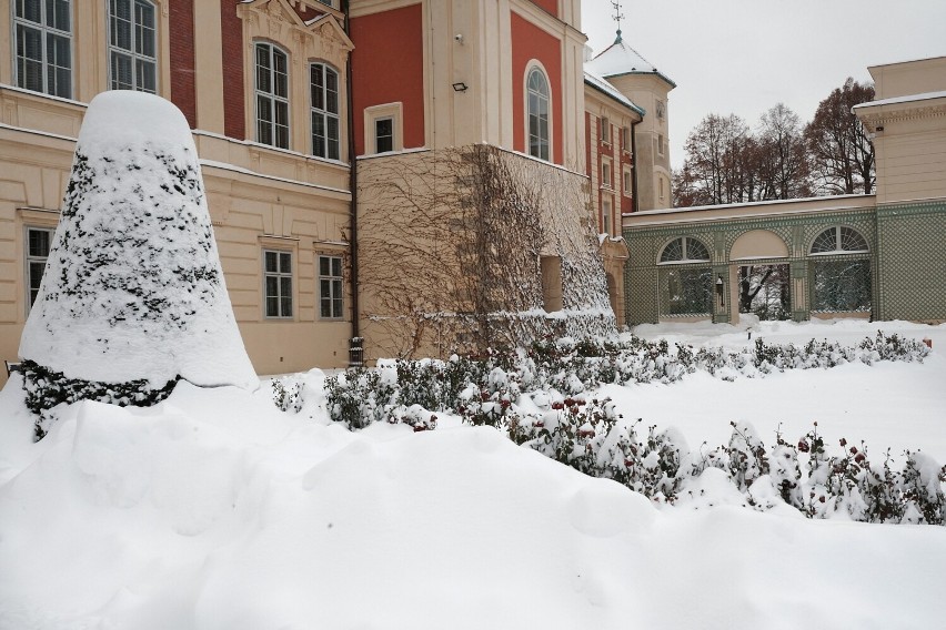 Zobacz, jak pierzyna śnieżna ozdobiła łańcucki zamek i otaczający go park (ZDJĘCIA)