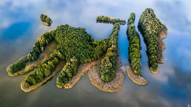Niesamowite wyspy na stawie w Dolinie Baryczy - gmina Milicz