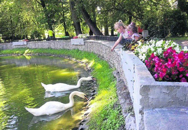 Renowacja parku zakłada m.in. odnowienie stawu, alejek oraz fontanny. Na efekty trzeba będzie jednak poczekać dwa lata