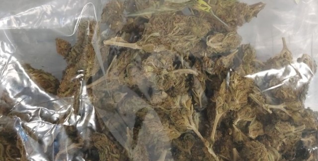 Kryminalni znaleźli i zabezpieczyli blisko 100 gramów suszu marihuany