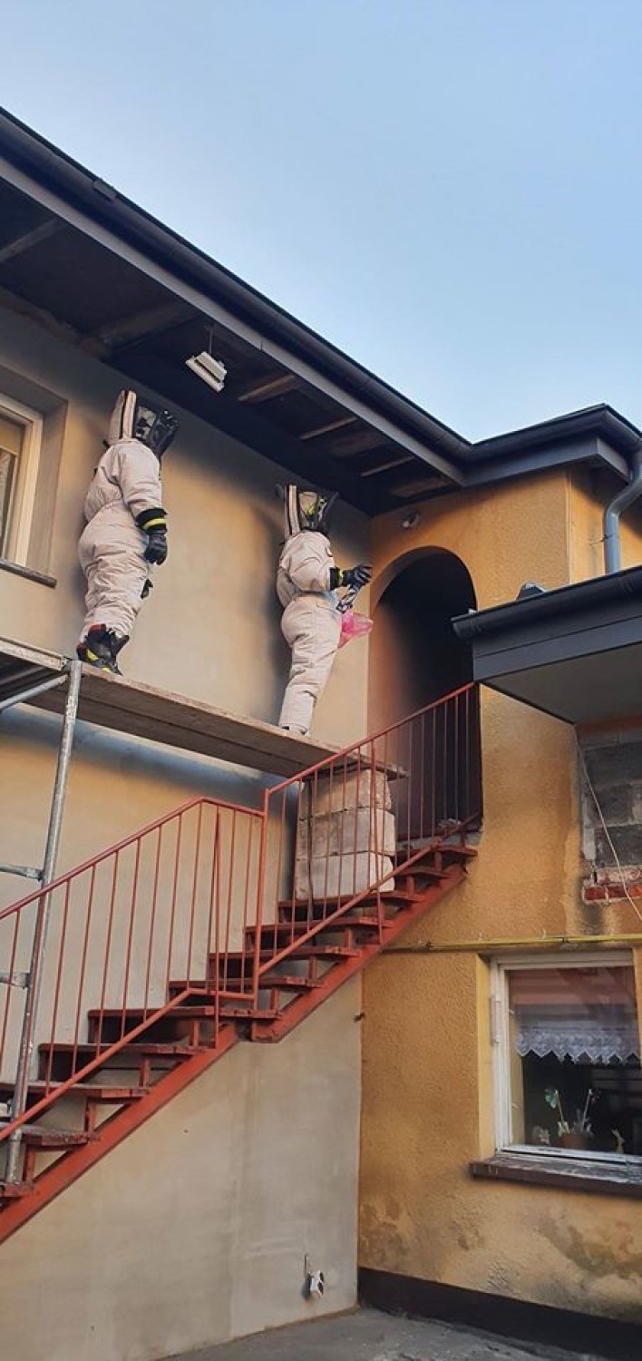 Strażacy ochotnicy usunęli kokon szerszeni w jednym z budynków mieszkalnych na terenie Dobrzycy