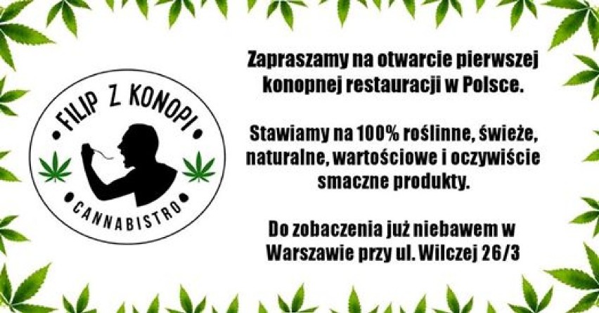 Filip z Konopi. Powstanie pierwsza w Polsce konopna...
