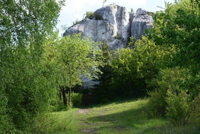 Maryja, UFO i wielka dziura w ziemi. Góra Ossona w Częstochowie kryje wiele tajemnic