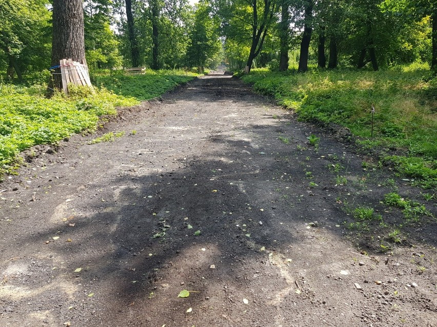 Park Ludowy w Lublinie zmienia szatę, a jelonek czuje się tu jak w domu. Zobacz zdjęcia!