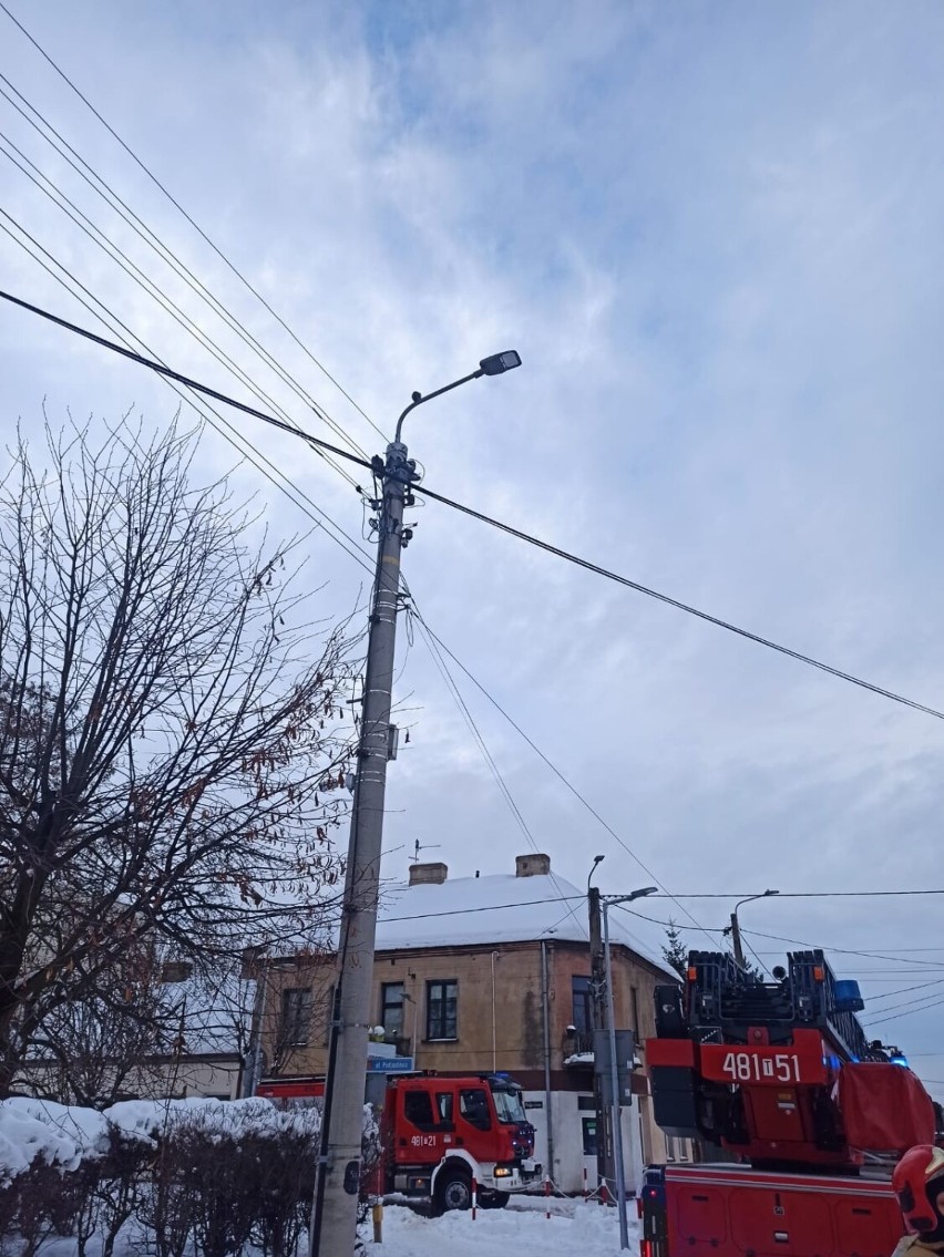 Dwa gołębie uwięzione na słupie elektrycznym w Skarżysku. Akcja strażaków