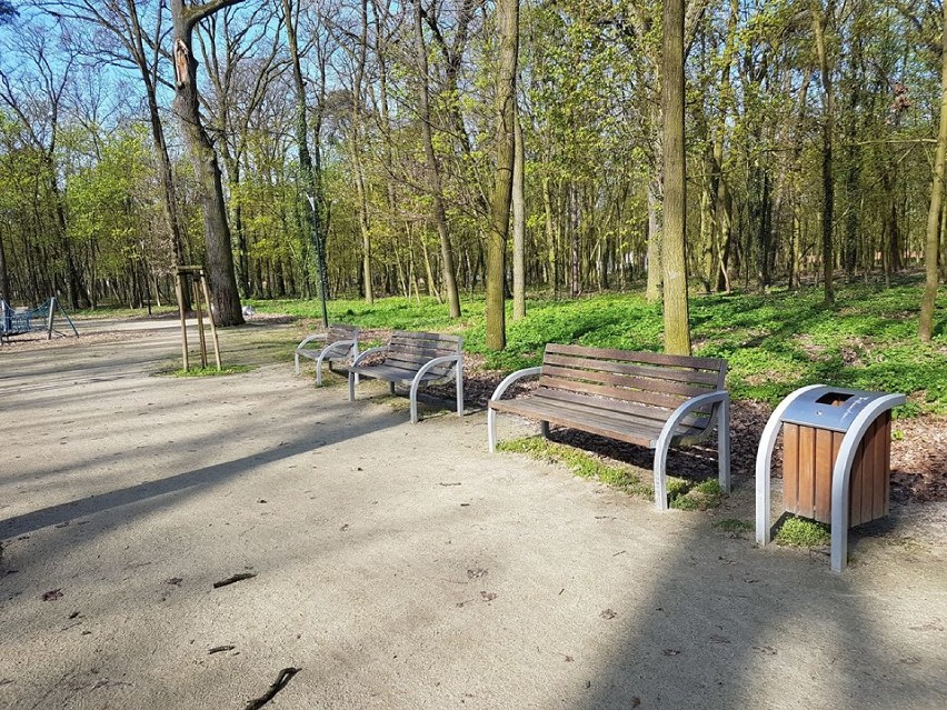 Park miejski przed renowacją ławek i śmietników [FOTO]