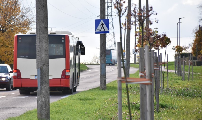 Malbork. Autobusów elektrycznych brakuje? Pasażerowie zdziwieni, bo zamiast pojazdów "na wtyczkę" jeżdżą spalinowe. I grzeją, a jest ciepło