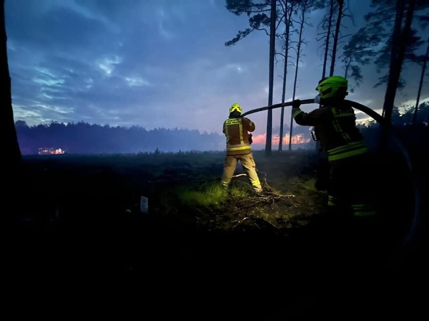 Pożar ponad 40 hektarów lasów w powiecie tarnogórskim! Zobacz ZDJĘCIA. Trwa akcja dogaszania trudnego terenu