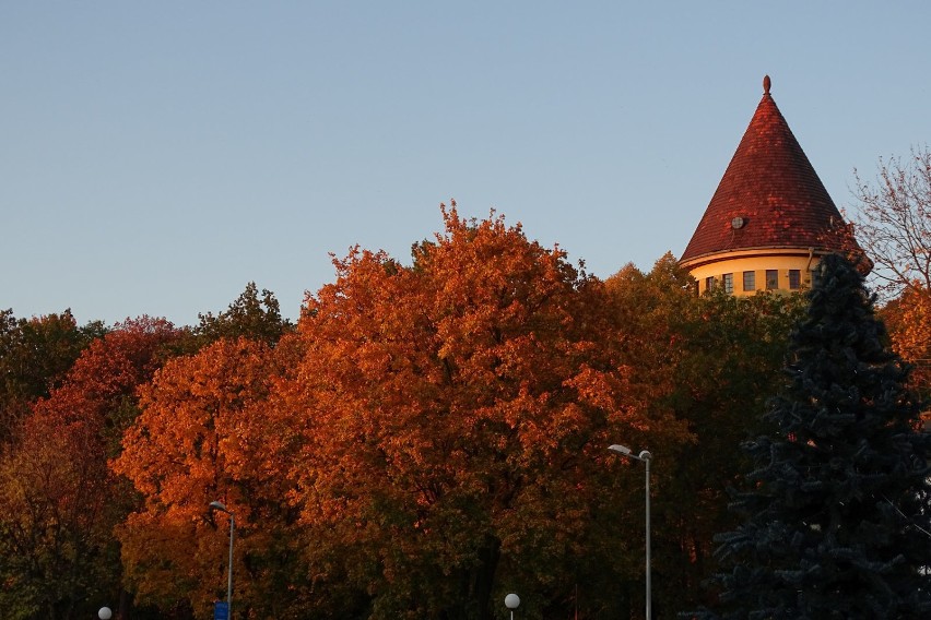 Niedzielnie, spacerowo, jesiennie