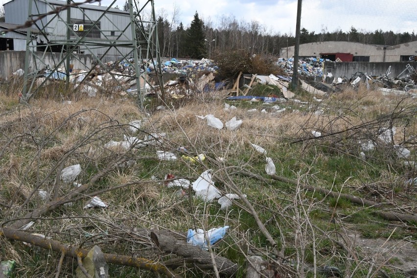Całe ulice w Kielcach przykryte śmieciami rozniesionymi przez wiatr. Ludzie sami sprzątali [WIDEO, ZDJĘCIA]
