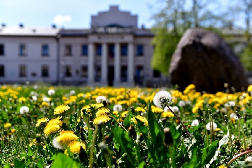 Wiosna zagościła w radomskich parkach. Zobacz zdjęcia!