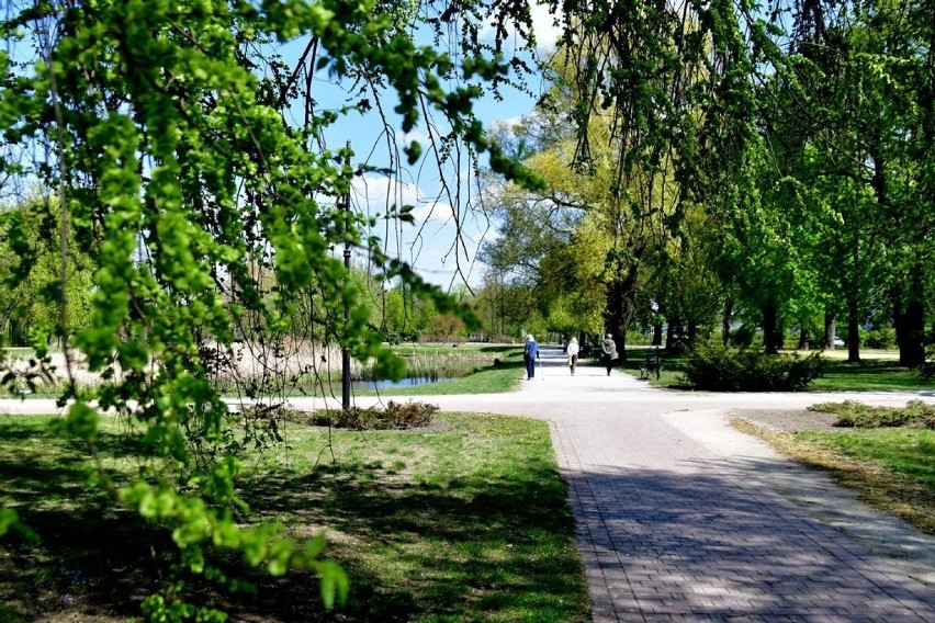 Wiosna zagościła w radomskich parkach. Zobacz zdjęcia!