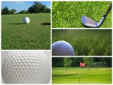 Spróbuj gry w golfa na "drzwiach otwartych" w Myślęcinku