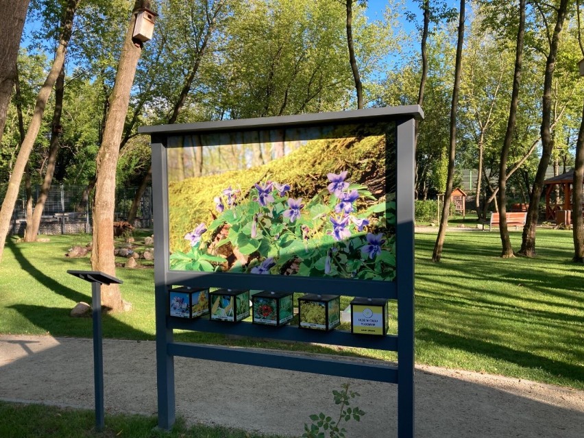 Ogród botaniczny w Brwinowie