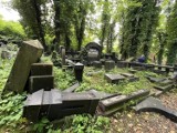 Zdewastowane macewy na cmentarzu żydowskim w Zabrzu zostaną ocalone. Narodowy Instytut Konserwacji Zabytków przeznaczy na ten cel 50 tys. zł