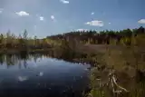 Jezioro Torfy w Warszawie niczym ukryte Mazury. Dzikie miejsce w lesie idealne na odpoczynek