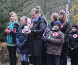 Hel. W tegoroczne Święto Niepodległości młodzi helanie rozdawali kotyliony w narodowych barwach