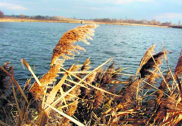 Żabie Doły