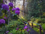 Najpiękniejsze ogrody botaniczne i parki na Dolnym Śląsku. Istne kwietne raje to cudowne miejsca na weekend. Sprawdź lokalizację i cenniki