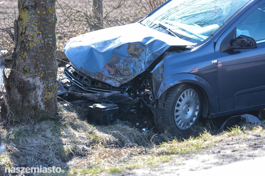 W podgrudziądzkim Gogolinie samochód uderzył w drzewo [wideo, zdjęcia]