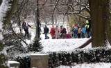 Sypnęło śniegiem w Legnicy. Drogi są czarne, park zachęca na zimowy spacer, zobaczcie aktualne zdjęcia 